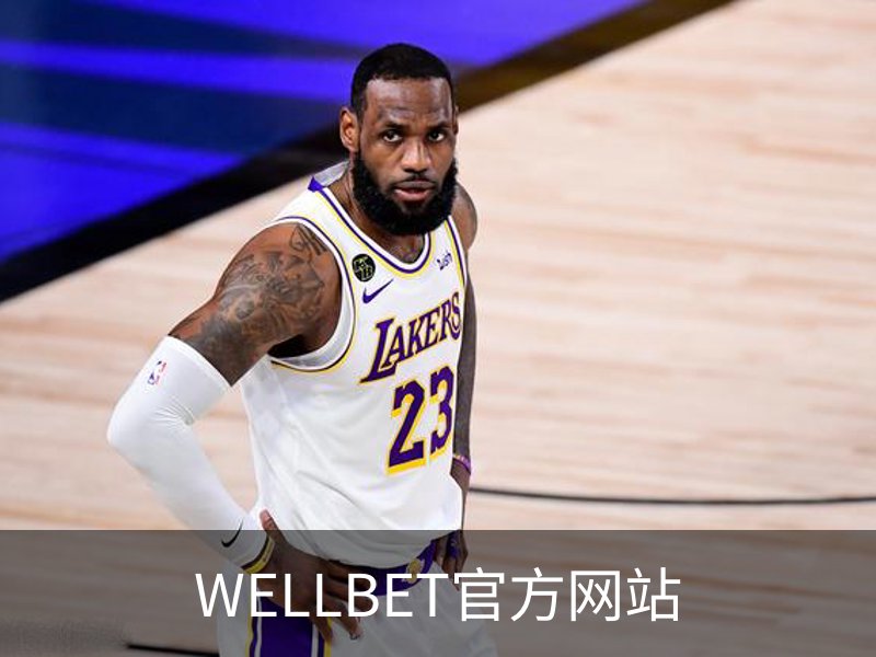关于WELLBET官方网站